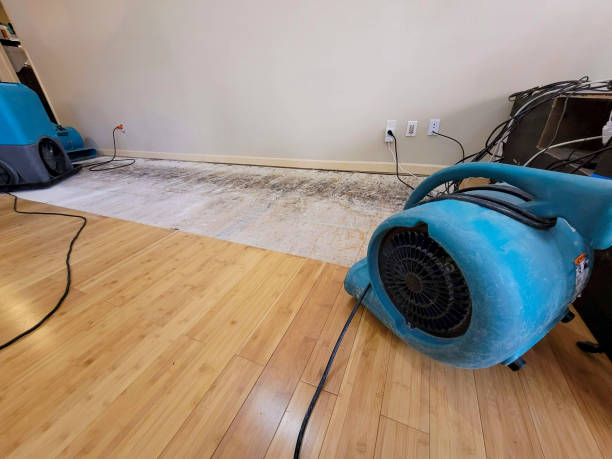 Professional Water Removal technician working in Mountain City, TN